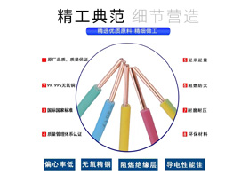 WDZB-BYJ 型號：0.75mm²²～240mm²²